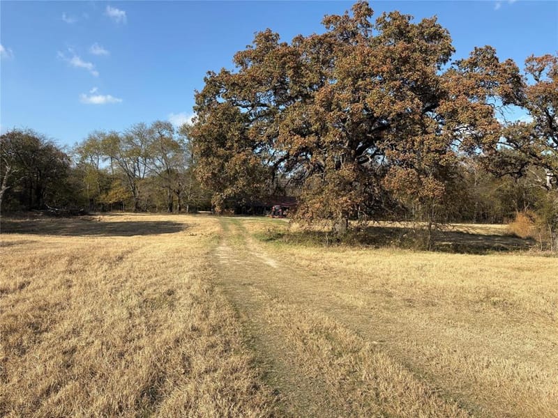 1207 State HWY 24, Campbell TX 75422 - Photo 24