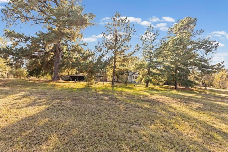1207 State HWY 24, Campbell TX 75422 - Photo 19