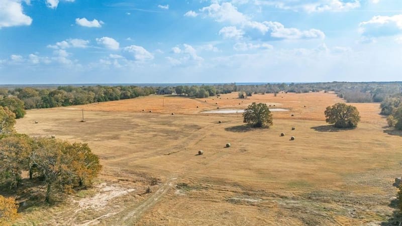 1207 State HWY 24, Campbell TX 75422 - Photo 21