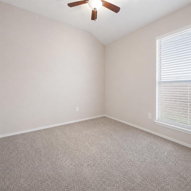 1117 Bexar Avenue, Melissa TX 75454 - Photo 24