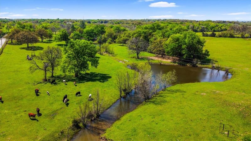 800 County Road 426, Cleburne TX 76031 - Photo 9