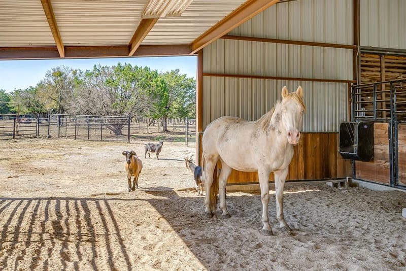 357 Wood Lake Road, Aledo TX 76008 - Photo 35