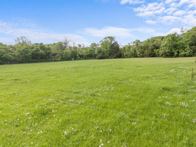 254 Jackson Road, Whitewright TX 75491 - Photo 5