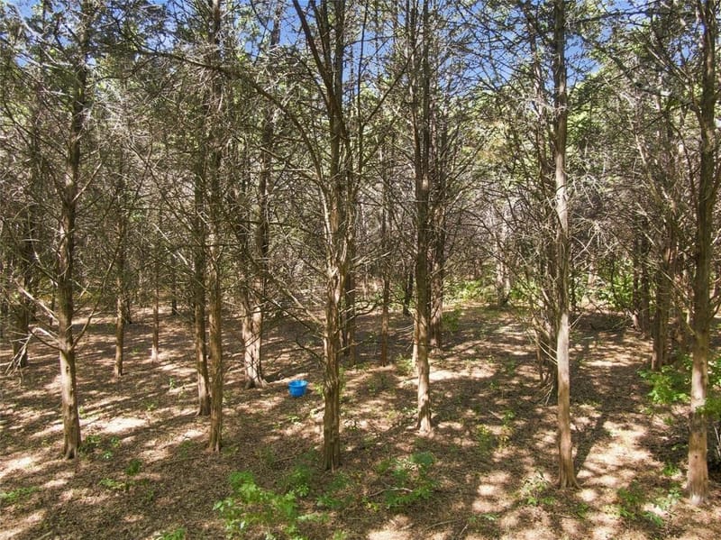 7831 Clark Court, Ovilla TX 75154 - Photo 24