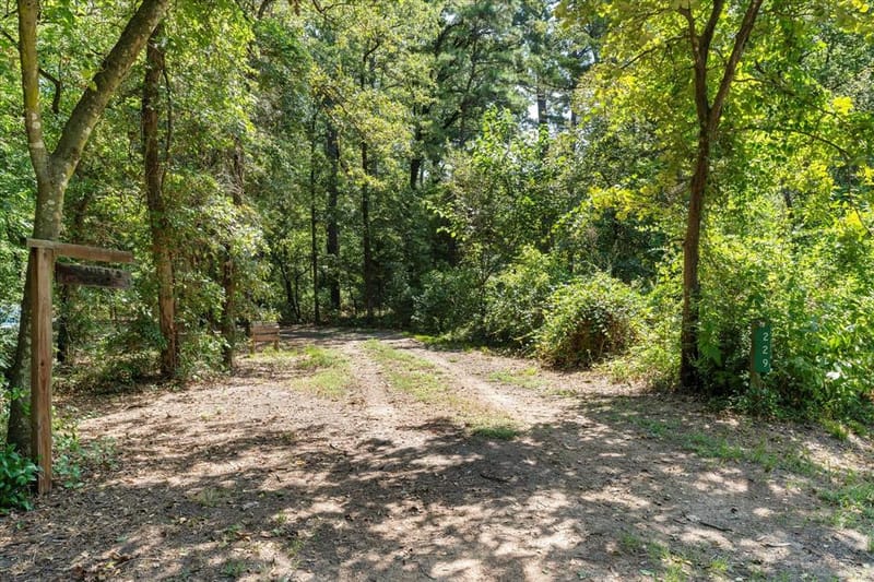 229 County Road 4554, Winnsboro TX 75494 - Photo 6