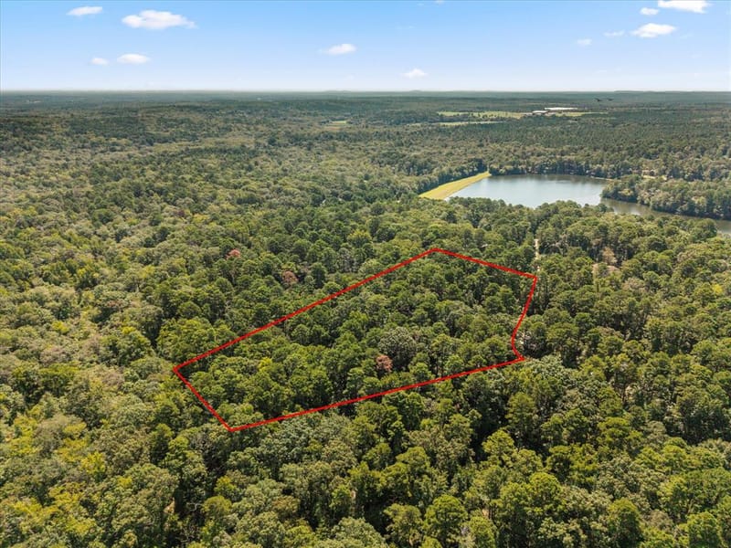 229 County Road 4554, Winnsboro TX 75494 - Photo 12