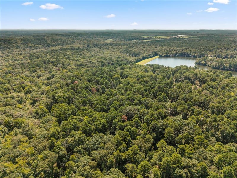 229 County Road 4554, Winnsboro TX 75494 - Photo 7