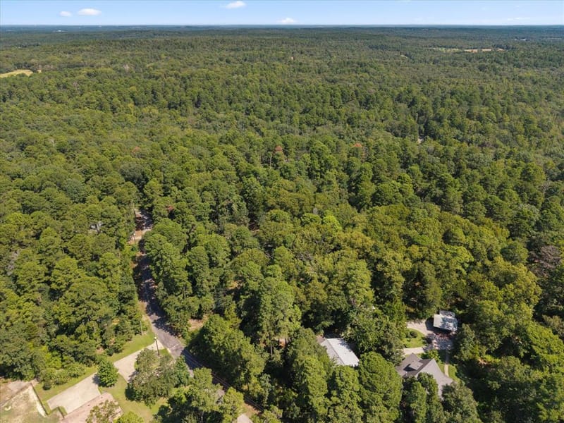 229 County Road 4554, Winnsboro TX 75494 - Photo 9