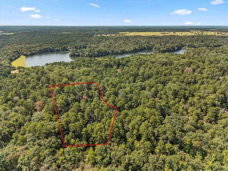 229 County Road 4554, Winnsboro TX 75494 - Photo 11