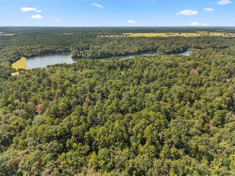 229 County Road 4554, Winnsboro TX 75494 - Photo 8