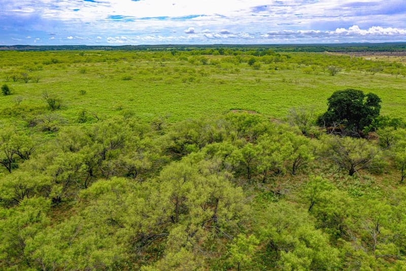 8617 Farm to Market 175, Jacksboro TX 76458 - Photo 36