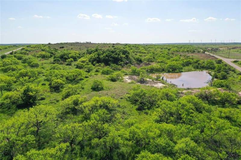 8617 Farm to Market 175, Jacksboro TX 76458 - Photo 30