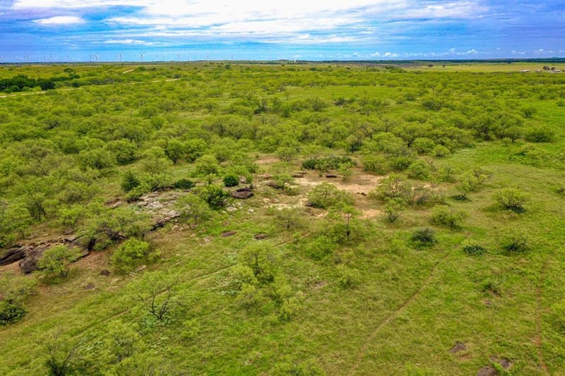 8617 Farm to Market 175, Jacksboro TX 76458 - Photo 35
