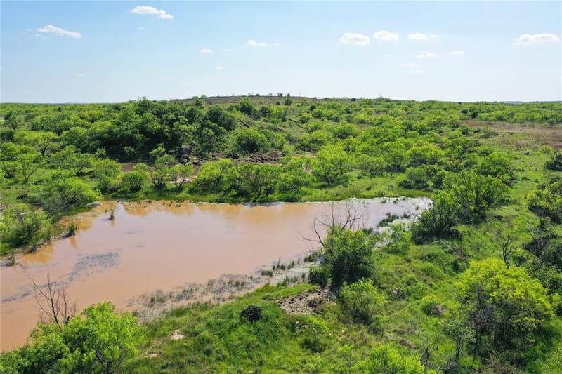 8617 Farm to Market 175, Jacksboro TX 76458 - Photo 31
