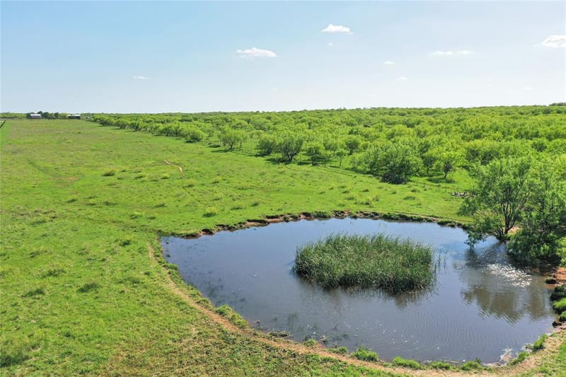 8617 Farm to Market 175, Jacksboro TX 76458 - Photo 29