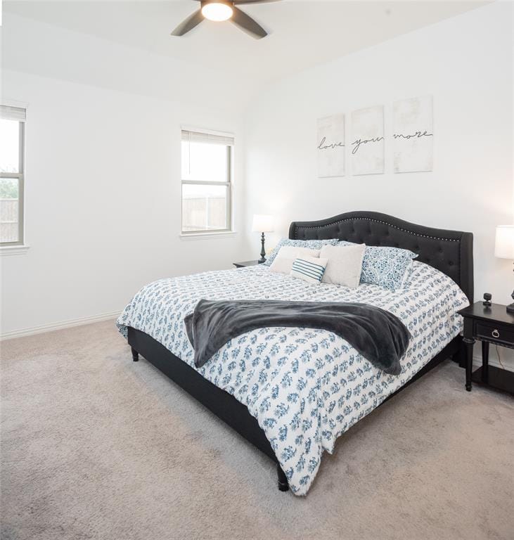 3826 Chicory Court, Melissa TX 75454 - Photo 14