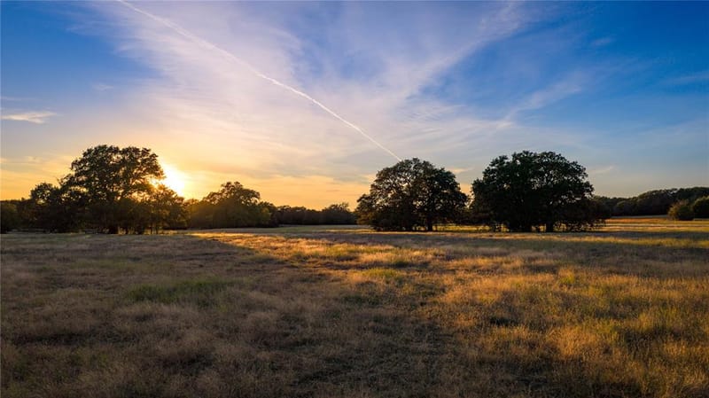 1210 County Road 232, Collinsville TX 76233 - Photo 7
