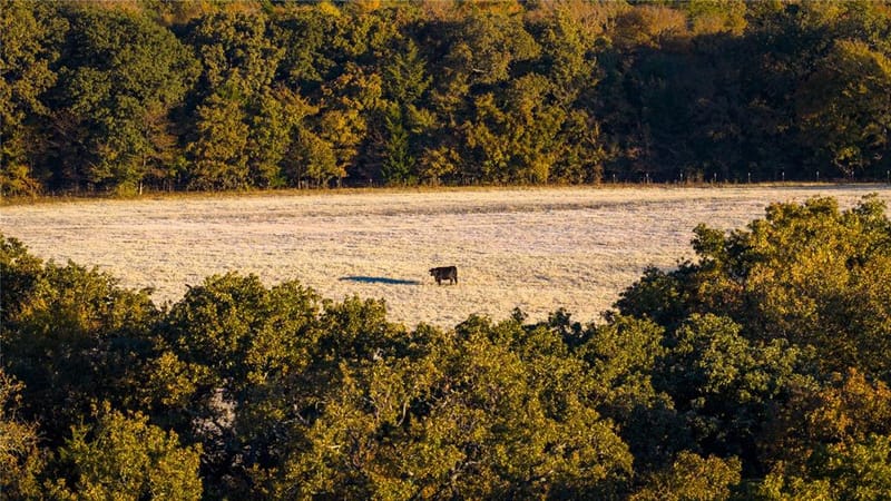 1210 County Road 232, Collinsville TX 76233 - Photo 28