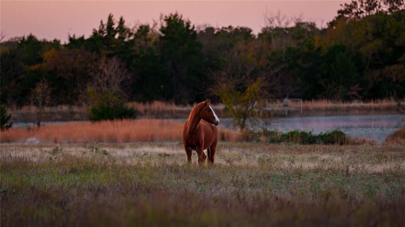 1210 County Road 232, Collinsville TX 76233 - Photo 34