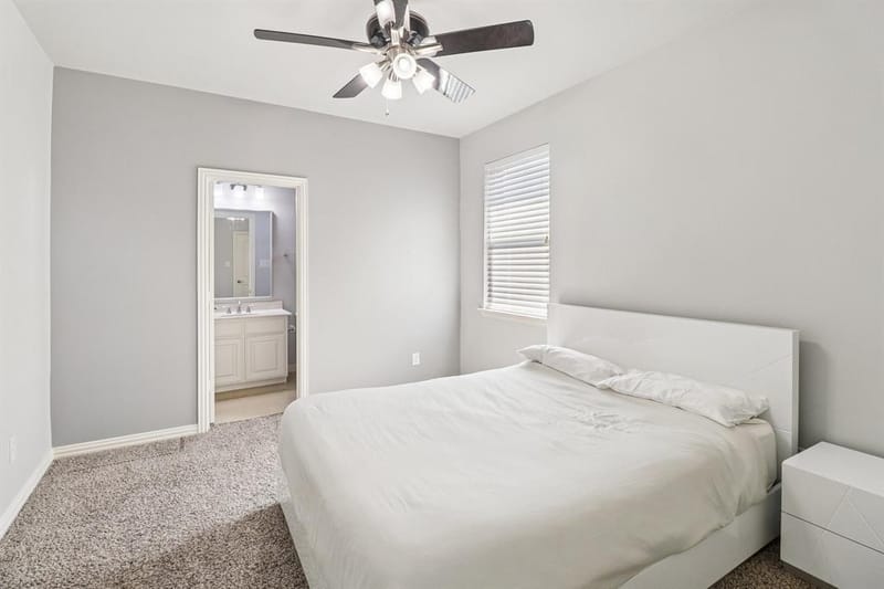 6616 Mountain Sky Road, Frisco TX 75036 - Photo 30