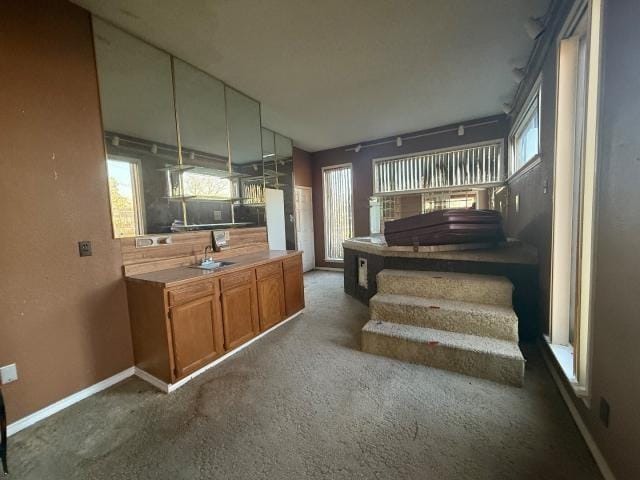 808 Flamingo Road, Granbury TX 76049 - Photo 25