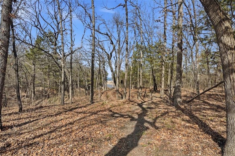 83 Preston Oaks Drive, Pottsboro TX 75076 - Photo 32
