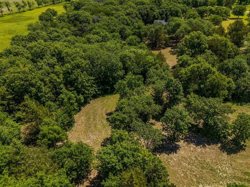 1878 N Lincoln Park Road, Van Alstyne TX 75495 - Photo 38