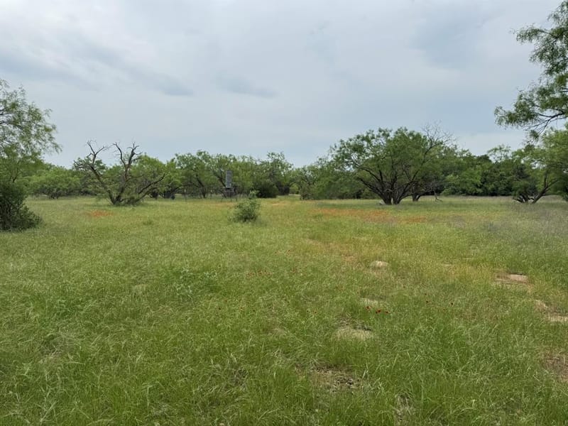 12550 County Road 136, Breckenridge TX 76470 - Photo 10
