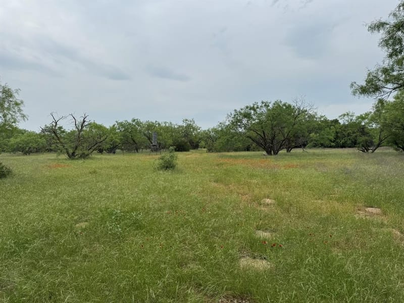 12550 County Road 136, Breckenridge TX 76470 - Photo 11
