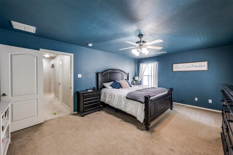 9812 Marthas Vineyard Circle, Providence Village TX 76227 - Photo 9