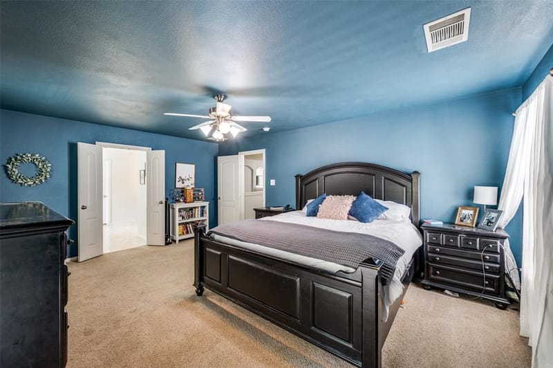 9812 Marthas Vineyard Circle, Providence Village TX 76227 - Photo 8