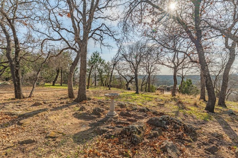 4259 S Lakeview Drive, Gordon TX 76453 - Photo 39
