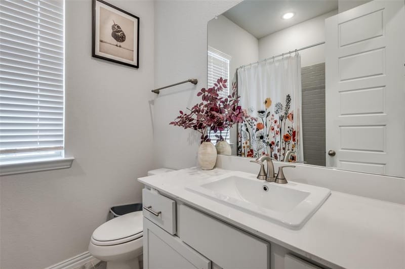 314 Colusa Drive, Lewisville TX 75056 - Photo 18
