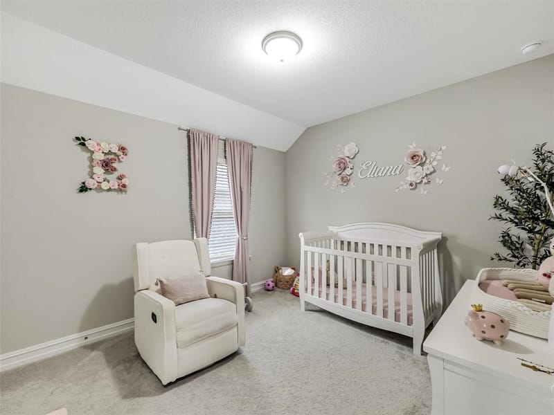 2809 Ranger Lane, Aubrey TX 76227 - Photo 22
