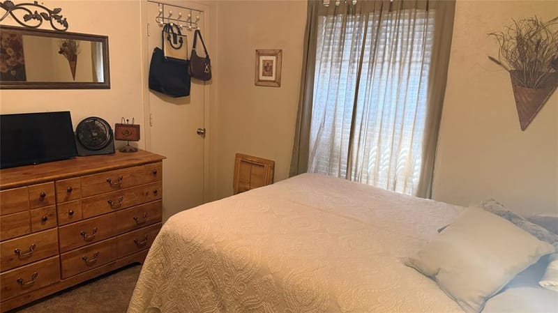 1315 Saturn Drive, Cedar Hill TX 75104 - Photo 6