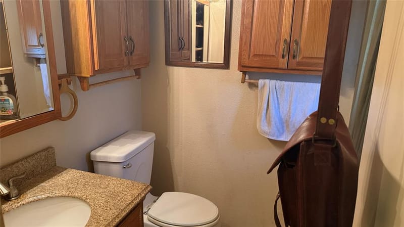 1315 Saturn Drive, Cedar Hill TX 75104 - Photo 12