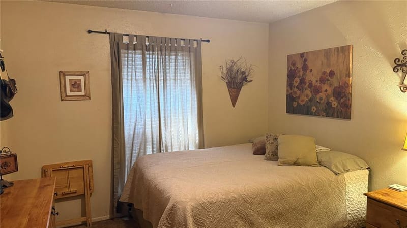 1315 Saturn Drive, Cedar Hill TX 75104 - Photo 3