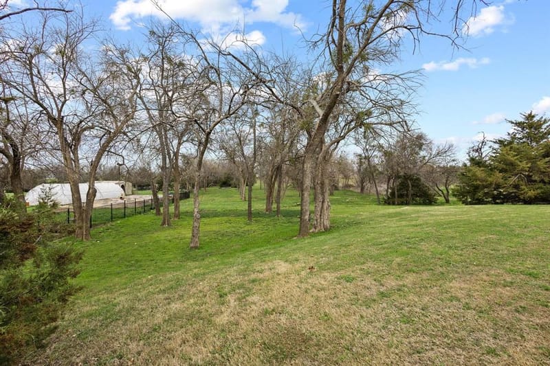 411 Kerfoot Drive, Gunter TX 75058 - Photo 39