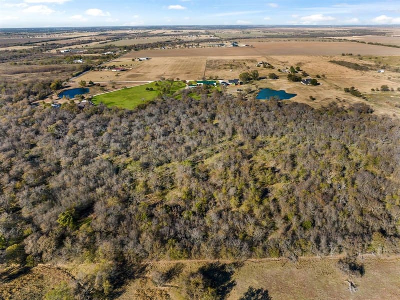 650 Scoggins Road, Tioga TX 76271 - Photo 31