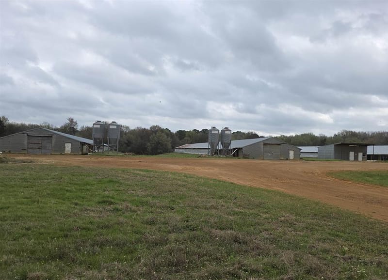 1886 Opossum Rd, Pittsburg TX 75686 - Photo 22