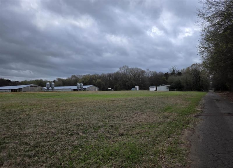 1886 Opossum Rd, Pittsburg TX 75686 - Photo 20