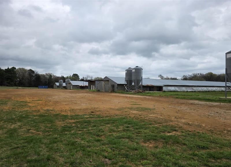 1886 Opossum Rd, Pittsburg TX 75686 - Photo 19