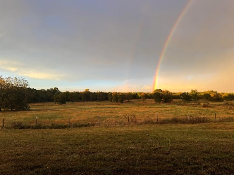 2238 County Road 1081, Greenville TX 75401 - Photo 40