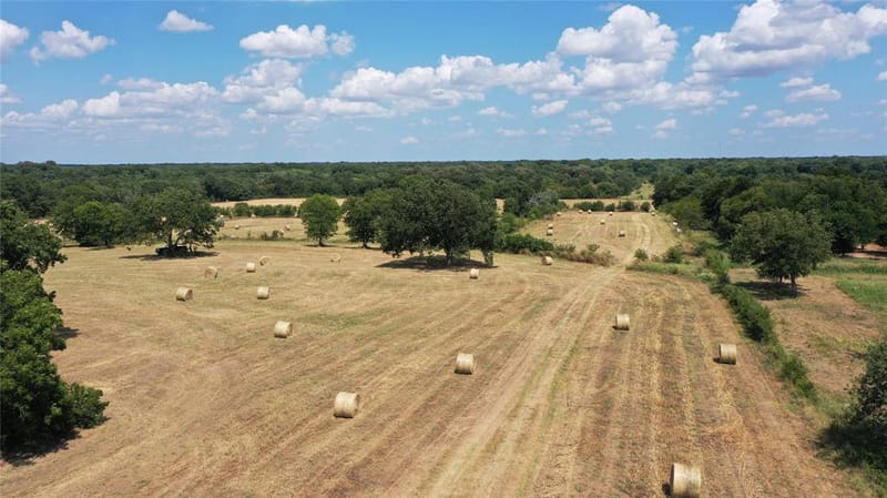 2238 County Road 1081, Greenville TX 75401 - Photo 8