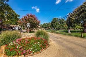 3316 San Jacinto Street, Dallas TX 75204 - Photo 21