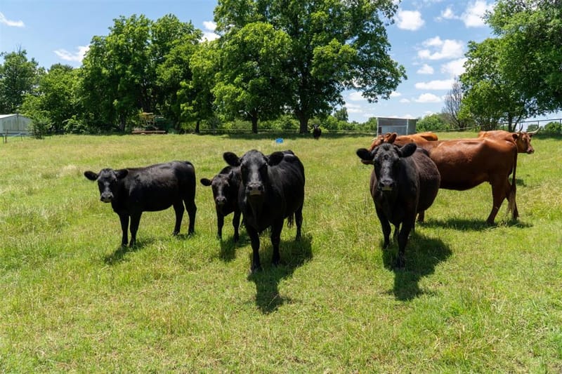 248 -Shaffer Road, Denison TX 75021 - Photo 37