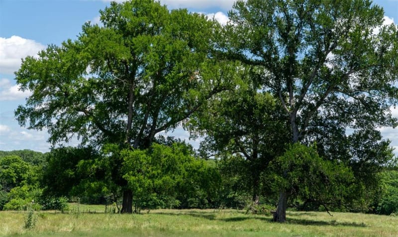 248 -Shaffer Road, Denison TX 75021 - Photo 40