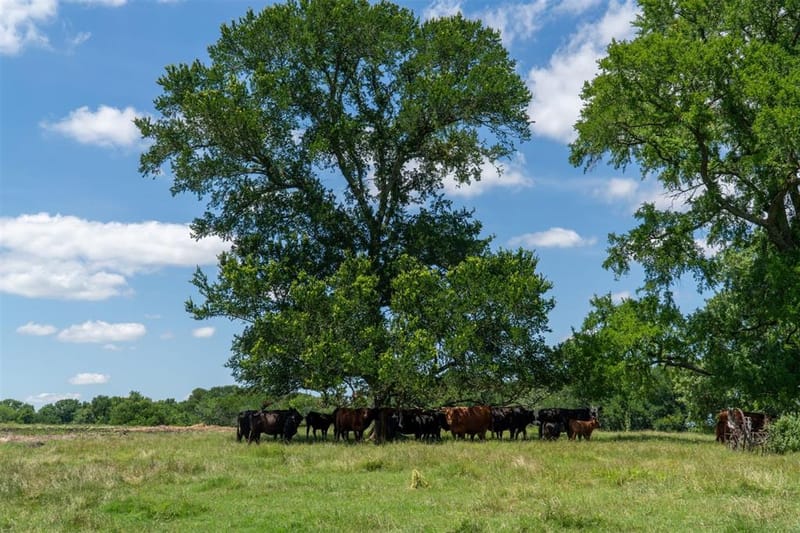 248 -Shaffer Road, Denison TX 75021 - Photo 35