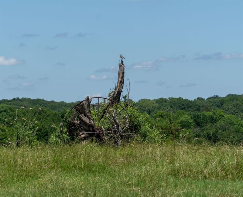248 -Shaffer Road, Denison TX 75021 - Photo 25