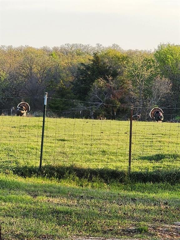 470 Private Road 3650, Paradise TX 76073 - Photo 34